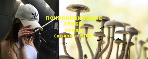 не бодяженный Абаза